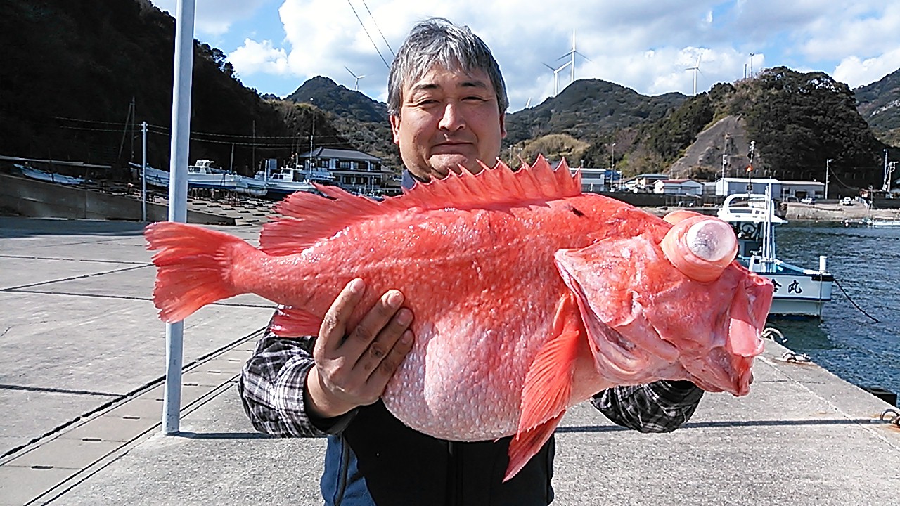 3 15 アコウ鯛釣り 南伊豆の深場釣りなら秀丸