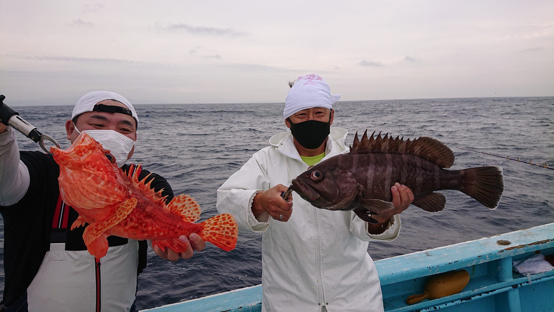 5 木 ムツ ハタ狙いに出船しました 南伊豆の深場釣りなら秀丸 5 木 ムツ ハタ狙いに出船しました 南伊豆の深場釣りなら秀丸